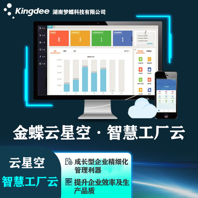 財務軟件硬件系統研發 構建高效、安全與可靠的財務數字化基石